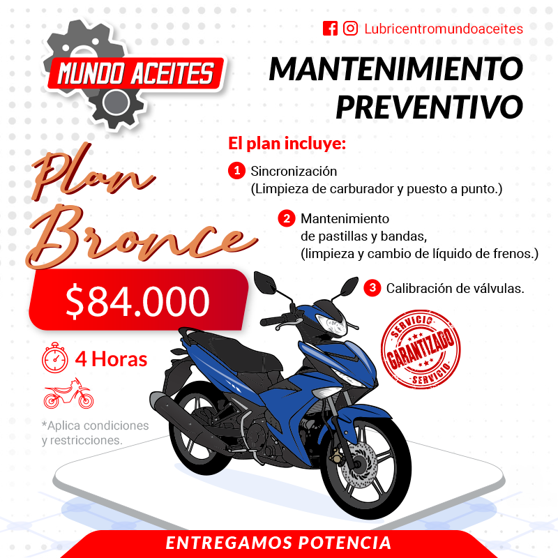 Mantenimiento Preventivo Bronce